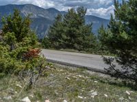 Pyrenees, Spain: Winding Road Through a Serene Landscape