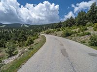 the road is empty and paved in a beautiful valley setting with pine trees and mountains