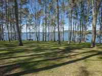 a view of the lake from the grassy area at a campsite in queenslands lakes