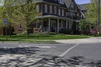 the suburban street and residential homes are empty of people, due to the presence of nature