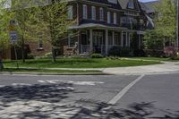 the suburban street and residential homes are empty of people, due to the presence of nature