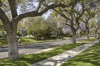 a residential neighborhood with a quiet street, sidewalk, and trees in the sunlight during spring