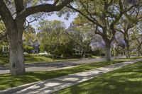 a residential neighborhood with a quiet street, sidewalk, and trees in the sunlight during spring