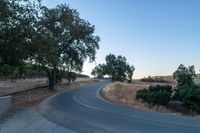 a quiet road lined with trees near grass and shrubs on the hillside in the desert