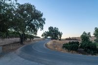 a quiet road lined with trees near grass and shrubs on the hillside in the desert