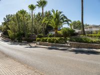 a very quiet road with palm trees and bushes on it's side in an upscale area near a residential community