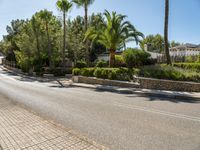 a very quiet road with palm trees and bushes on it's side in an upscale area near a residential community