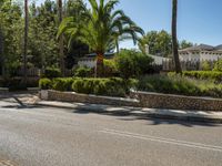 a very quiet road with palm trees and bushes on it's side in an upscale area near a residential community