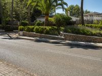 a very quiet road with palm trees and bushes on it's side in an upscale area near a residential community