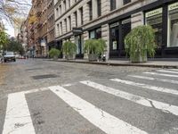 a sidewalk lined with tall buildings and plants in the street is empty and very quiet