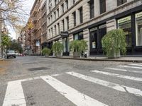 a sidewalk lined with tall buildings and plants in the street is empty and very quiet