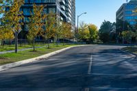 the empty street is quiet on a sunny day in autumn - like colors and shapes