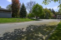 a empty street lined with homes and trees in a neighborhood setting with grassy lawn area,