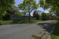 a empty street lined with homes and trees in a neighborhood setting with grassy lawn area,