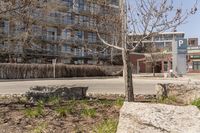 an old bench sits next to a tree and building behind it with many windows on a street corner