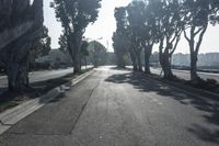the tree lined street is very quiet as you can see in this picture taken with the camera