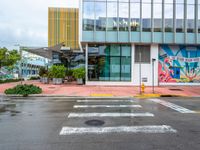 a cross walk in the rain in front of a building with murals on the walls