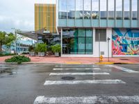 a cross walk in the rain in front of a building with murals on the walls