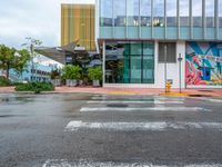 a cross walk in the rain in front of a building with murals on the walls