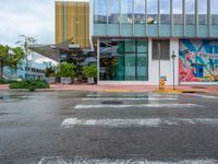 a cross walk in the rain in front of a building with murals on the walls