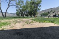 the shadows on the ground show how little plant life looks on a ranch lot where the fence is next to the trees