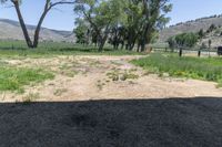 the shadows on the ground show how little plant life looks on a ranch lot where the fence is next to the trees