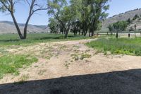 the shadows on the ground show how little plant life looks on a ranch lot where the fence is next to the trees