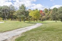 Recreational Land Lot in Ontario: Abundant Vegetation