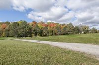 Recreational Landscaping in Toronto, Canada (005)