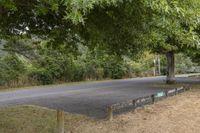 a bench sitting next to the side of the road in a field next to some trees