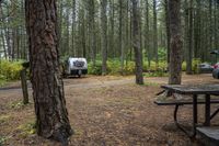 two recreational vehicles are parked outside in the woods behind a picnic table and van or truck