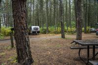 two recreational vehicles are parked outside in the woods behind a picnic table and van or truck