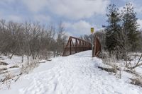 there is a red bridge in the middle of a snow covered field and some trees