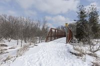 there is a red bridge in the middle of a snow covered field and some trees