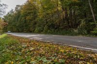 a red fire hydrant sitting in the middle of the road surrounded by fallen leaves