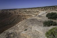 an arid plain covered with rocks and water, with small vegetation on the side of it