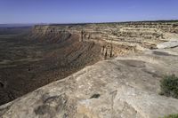 an arid plain covered with rocks and water, with small vegetation on the side of it