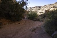 Red Rock Canyon Landscape in Utah, USA