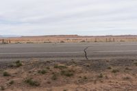 Red Rock Canyonlands Utah under Low Grey Sky