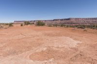 a very dry, arid ground in the desert with rocks and trees nearby for background