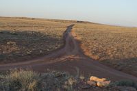 a dirt road going through an open area with rocks and a lone car on top