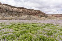 the mountains and valley covered in flowers are visible during the day time of this photo