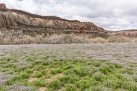 the mountains and valley covered in flowers are visible during the day time of this photo