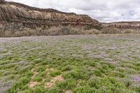 the mountains and valley covered in flowers are visible during the day time of this photo