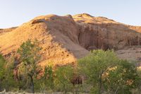 Red Rock Desert Landscape in Utah