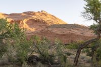 Red Rock Desert Landscape in Utah