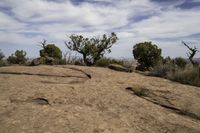 Red Rock Landscape in Canyonlands, Moab, Utah