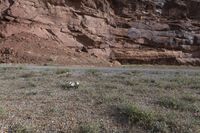 a person riding a motorcycle along a narrow road through rocks and sand cliffs a grassy area on both sides