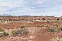 Red Rock Landscape in Utah