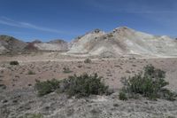 the desert has a mountain and brush growing on it's sides in front of it